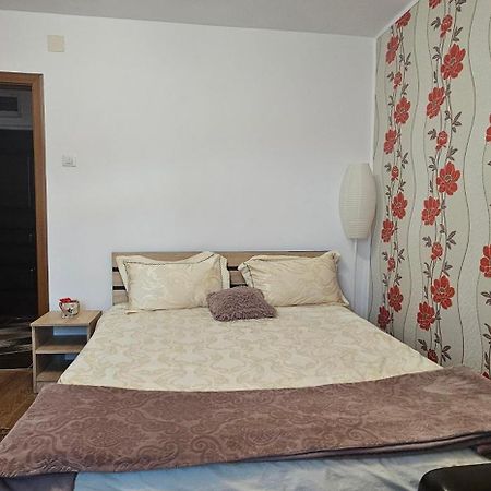 Piatra NeamţCasa Suzana公寓 外观 照片