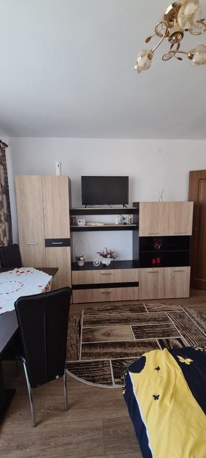 Piatra NeamţCasa Suzana公寓 外观 照片