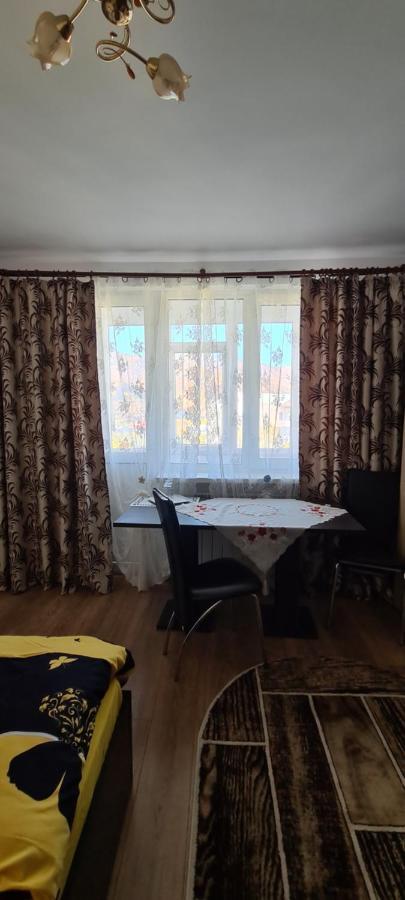 Piatra NeamţCasa Suzana公寓 外观 照片