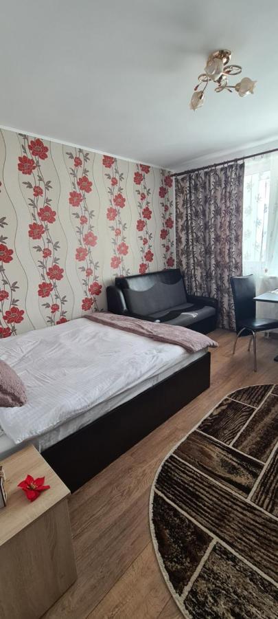 Piatra NeamţCasa Suzana公寓 外观 照片
